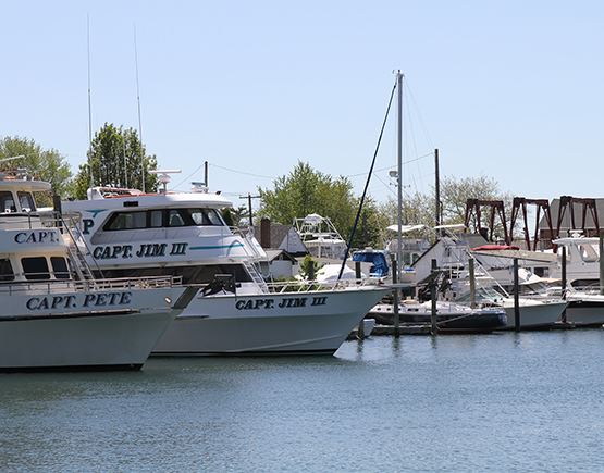 boats docked in a harbor